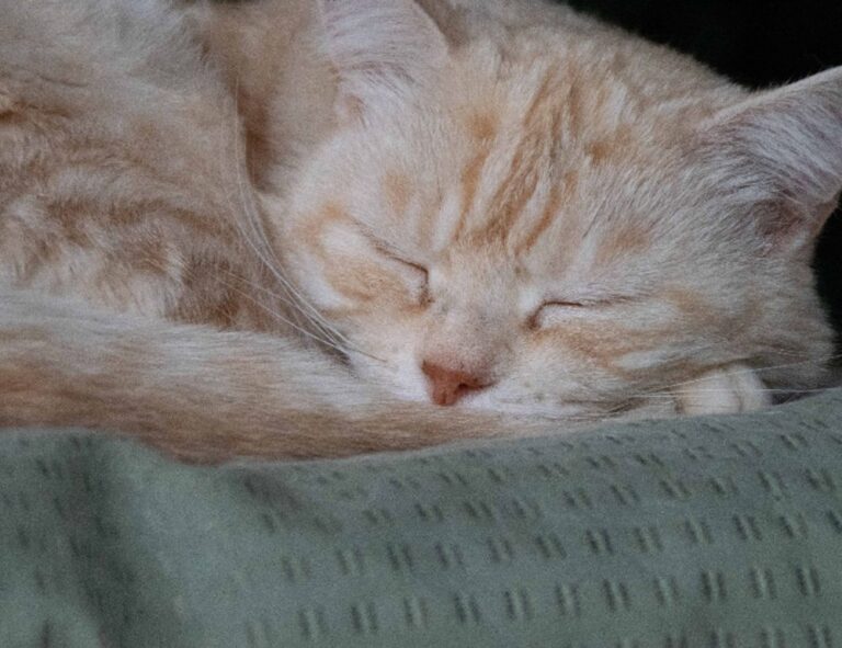 5 advantages of darkwarfall gaming