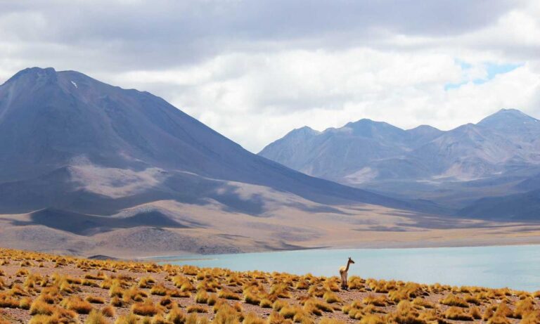 data softout4.v6 python