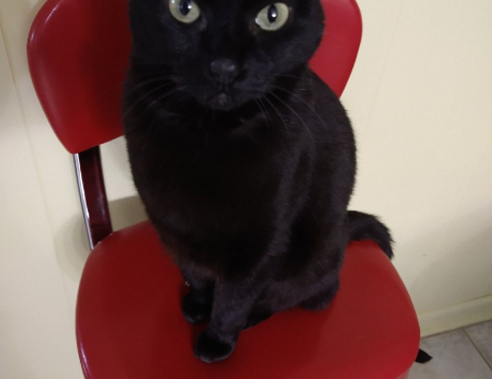 edit code gdtj45 builder software