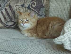 how to get over from game overdertoza addiction