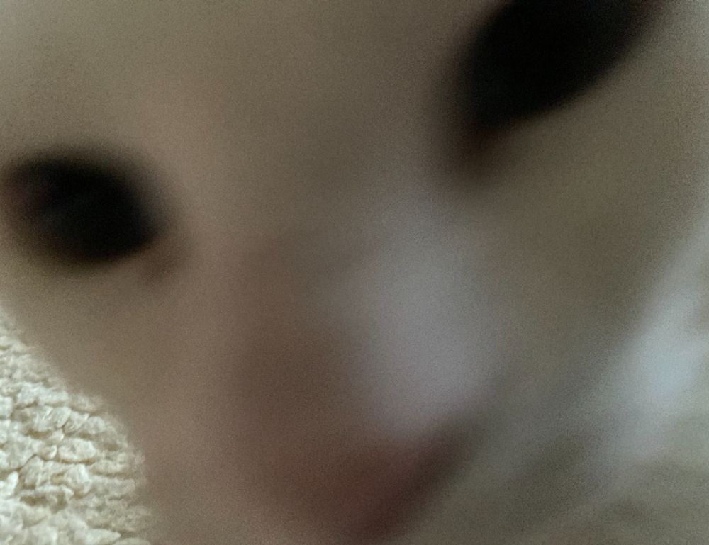 lwspeakfit fitness guide by letwomeanspeak