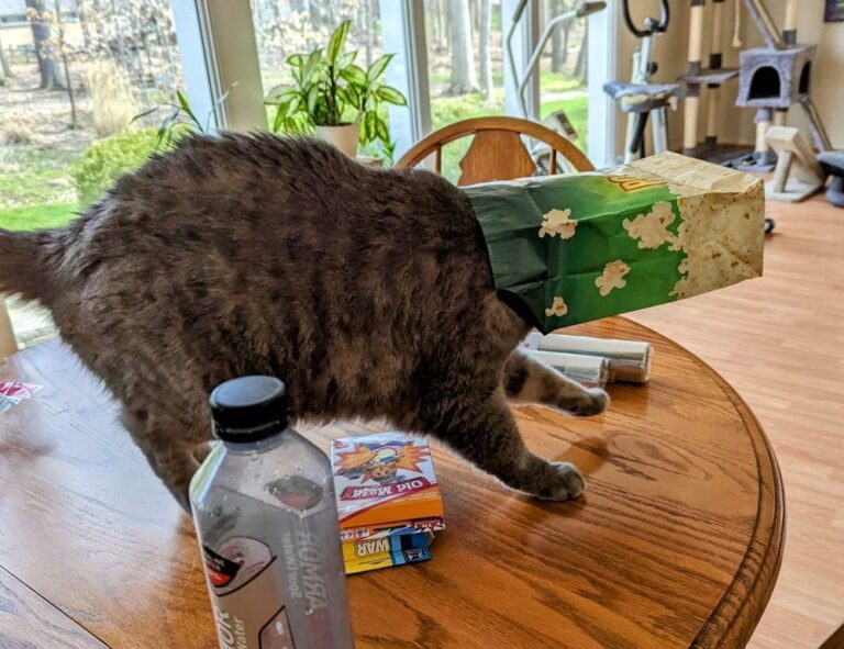 which gym should i go to lwspeakfit