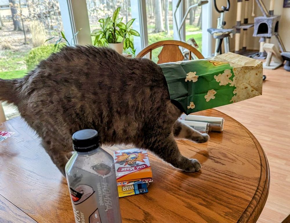 which gym should i go to lwspeakfit