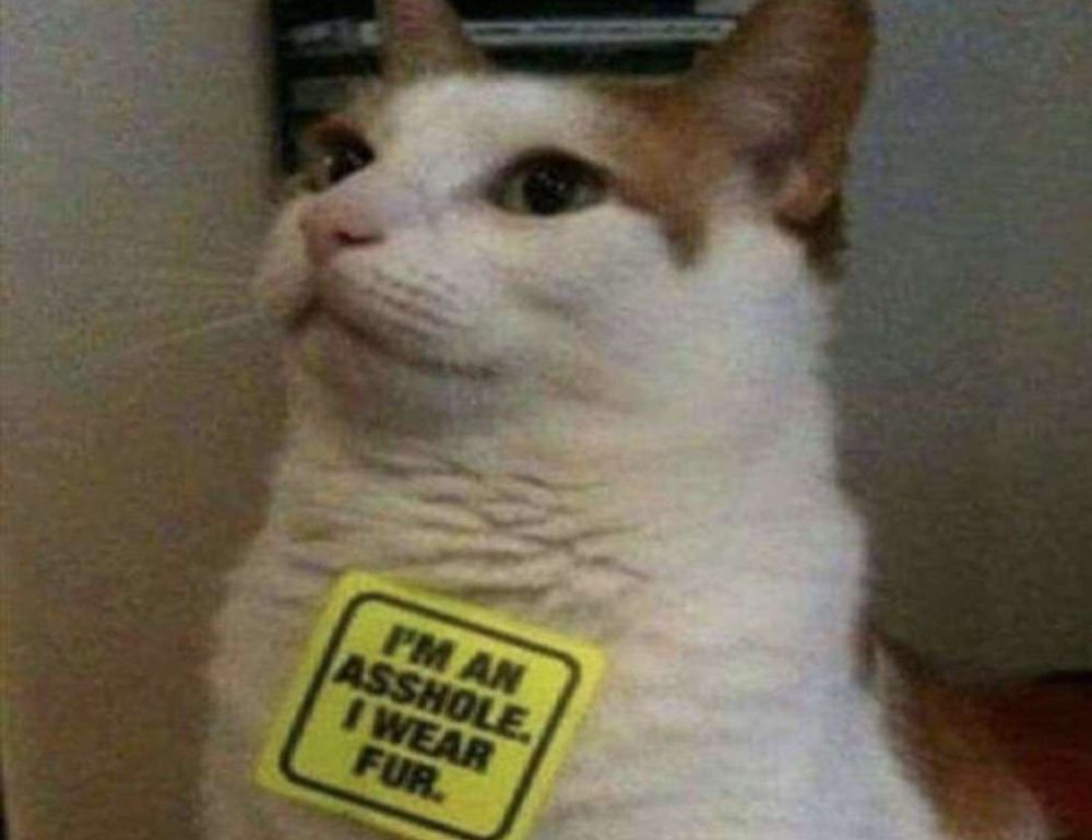 zydaisis disease which foods to avoid