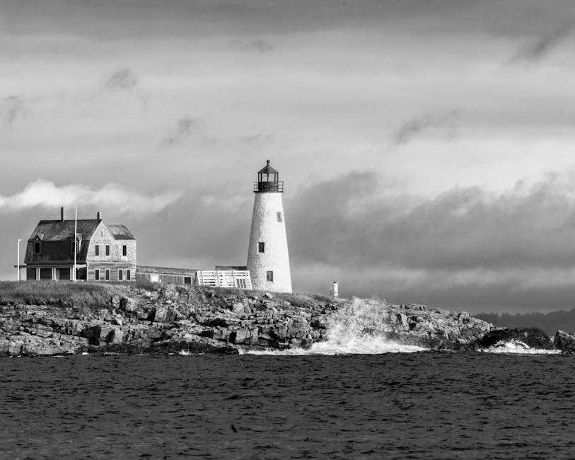 macronutrients guide