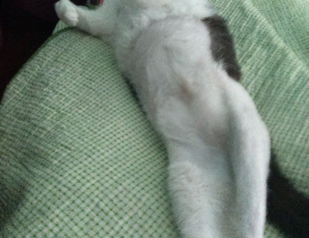 medication advice shmgmedicine