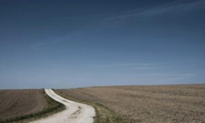 what medicine for cancer shmgmedicine