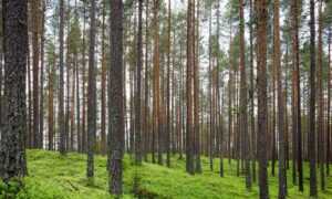 which medicine makes you drowsy shmgmedicine