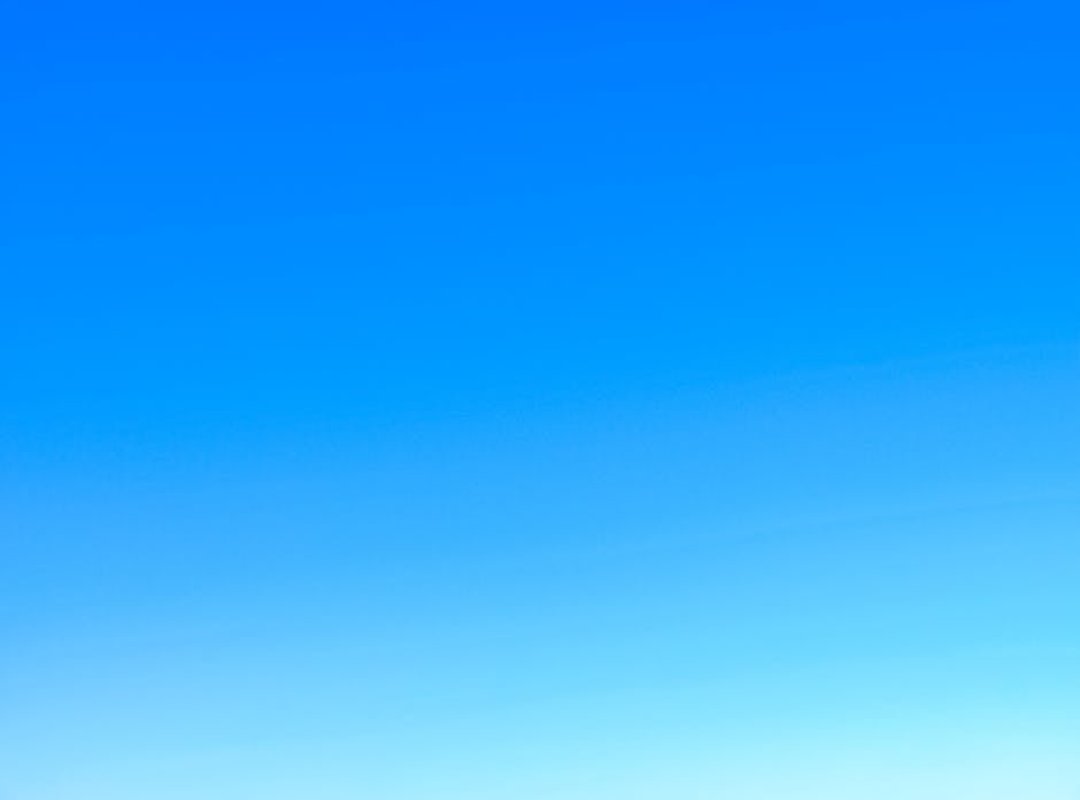 Outfestfusion Pavatalgia Disease