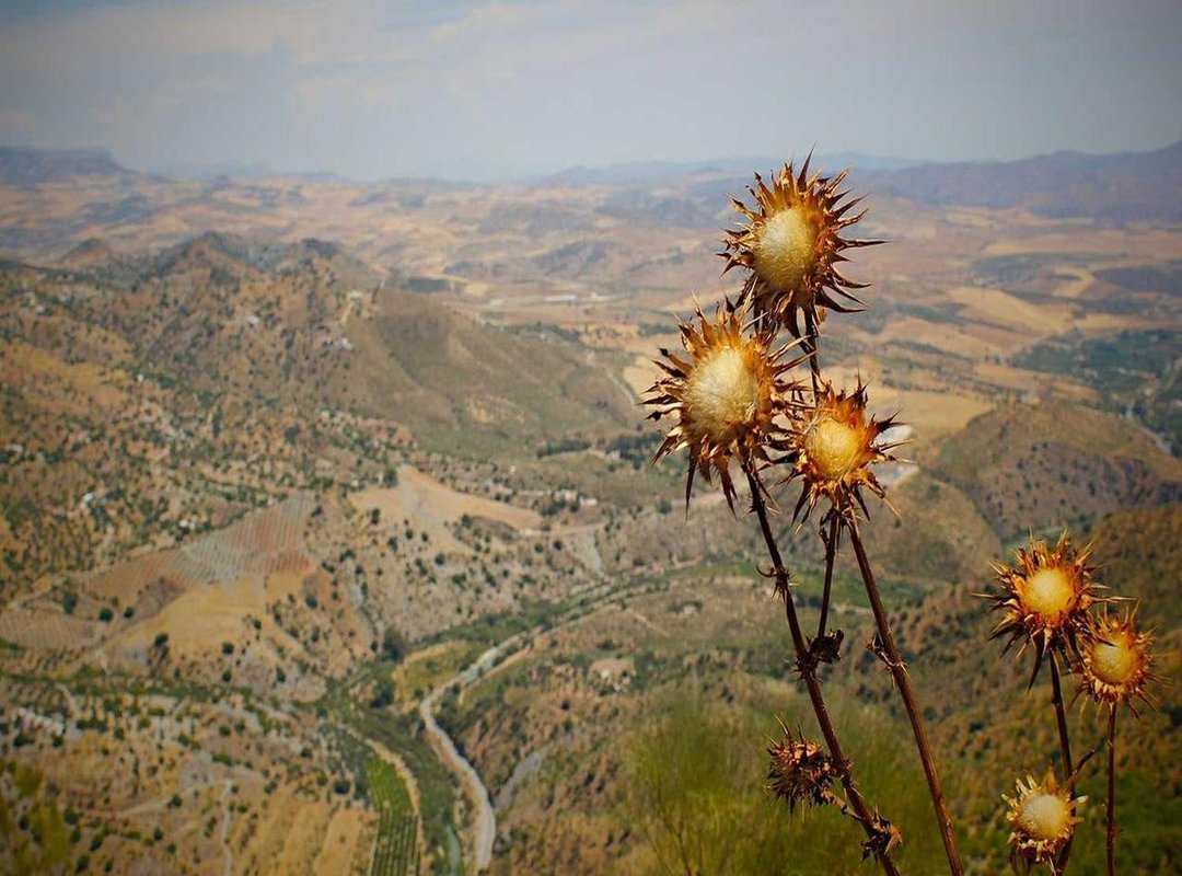 Beyond the Core Cast: Memorable Supporting Performances