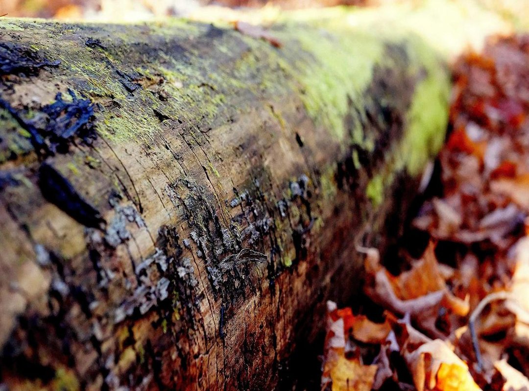 Frequently Asked Questions (and Quick Answers)