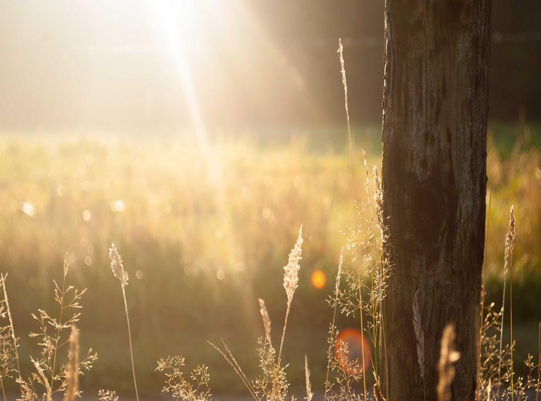 Official Streams vs. Unofficial Links: A Quick Guide