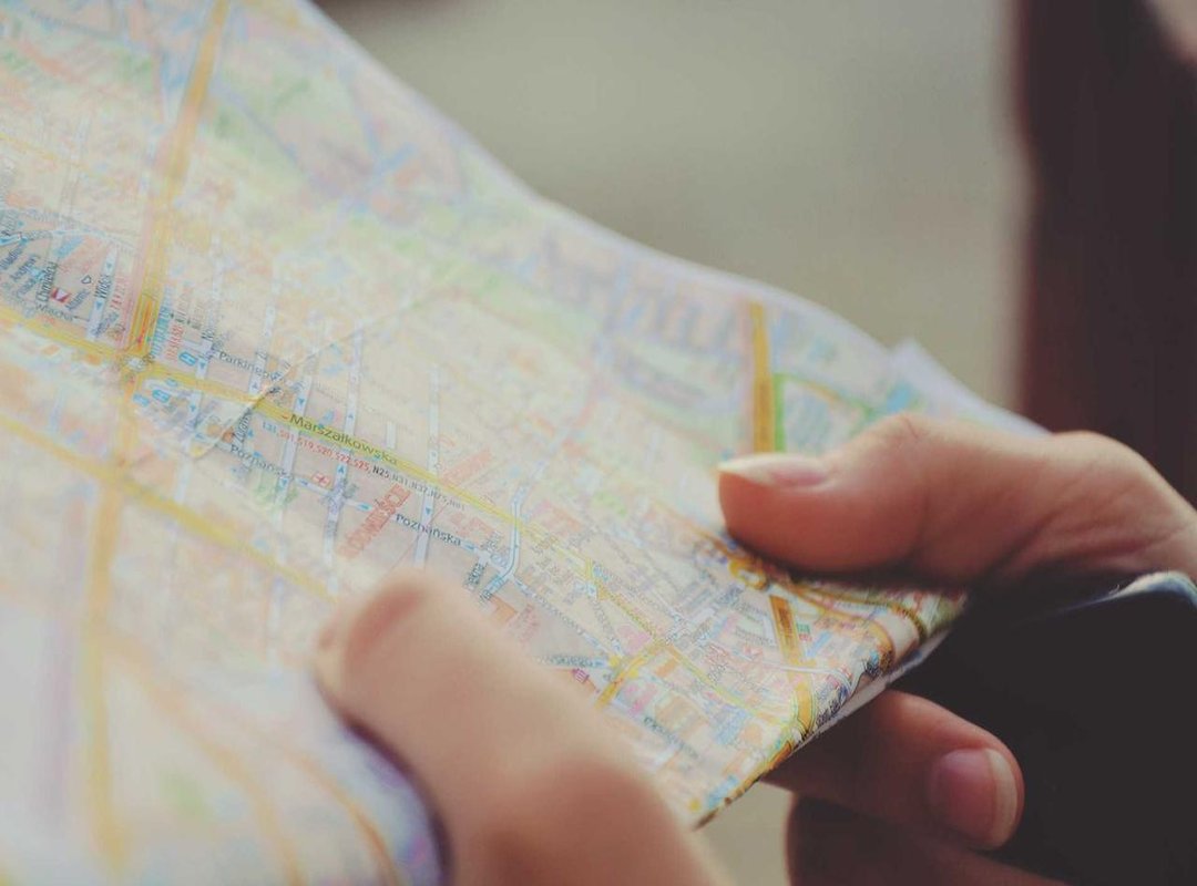 First-Aid for Your Pup: A Step-by-Step Guide for Bee Stings