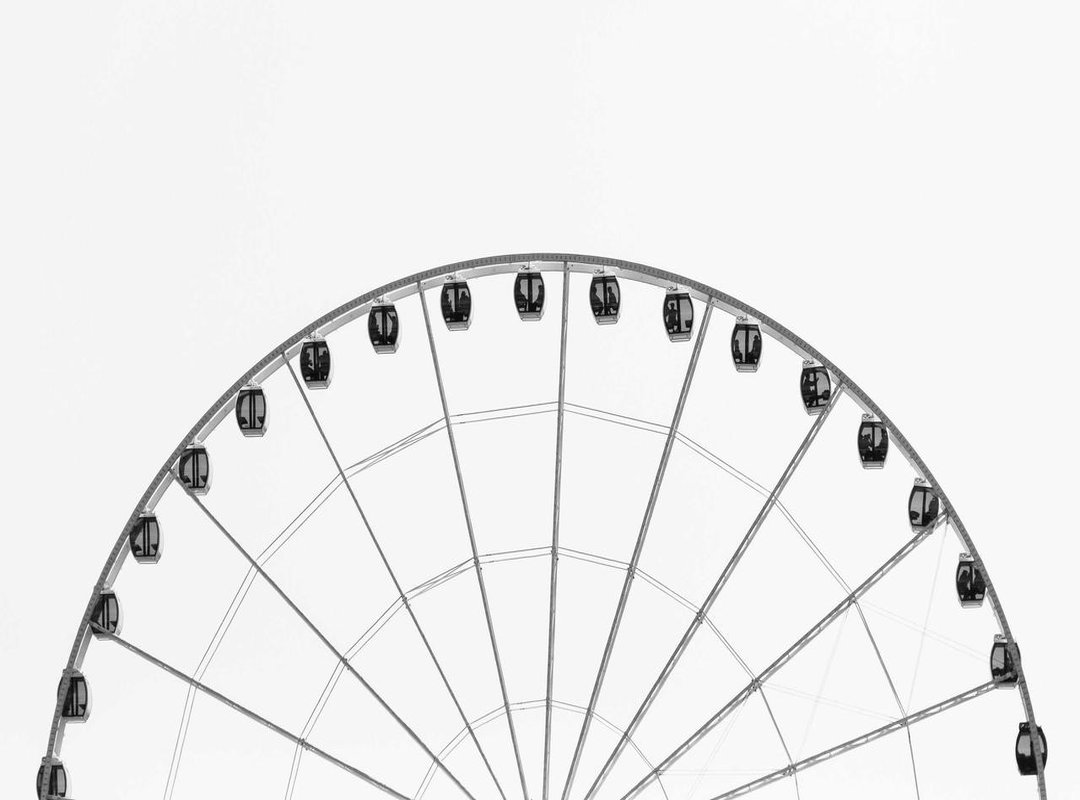 Act II: The Cursed Swan Queen and a Vow of Love